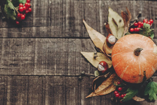 istock beautiful pumpkin with leaves and berries on rustic wooden background, top view. space for text. thanksgiving or halloween concept greeting card. fall image flat lay. cozy autumn mood 965353750