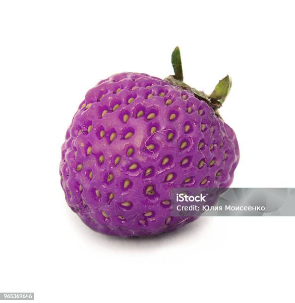 Beautiful Ripe Large Bright Strawberry On The Isolated Background Isolate Lilac Purple Strawberry Stock Photo - Download Image Now