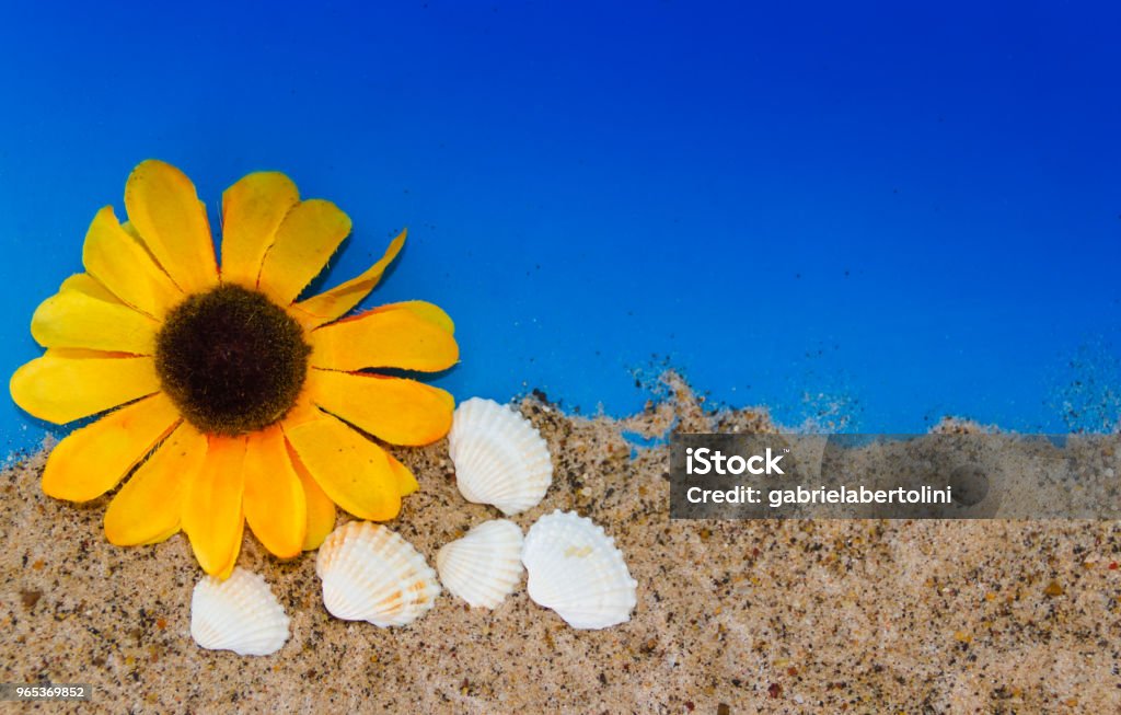 minimalist background representing the summer with snails clams goggles and sand on celestial Abstract Stock Photo
