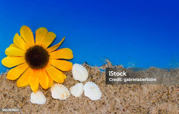 Minimalist Background Representing The Summer With Snails Clams Goggles And Sand On Celestial Stock Photo - Download Image Now