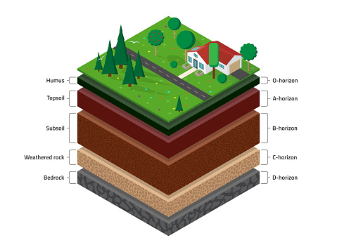 Isometric named layers of soil with a top layer of green grass,  house, forest, garden and road on it. The stratum of organic, minerals, sand, clay.