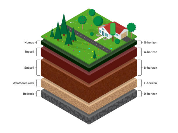 Isometric soil layers Isometric named layers of soil with a top layer of green grass,  house, forest, garden and road on it. The stratum of organic, minerals, sand, clay. bedrock stock illustrations