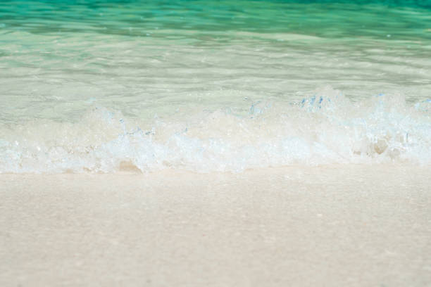 bela praia de areia branca com a onda do mar suave no verão, onda do mar azul sobre a areia bech. viagens de conceito. - bech - fotografias e filmes do acervo