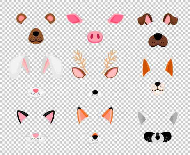 Animals face masks set on transparent Animals masks. Face masking for masquerade, rabbit and bear, dog, and fox cute halloween head mask set isolated on transparent background, vector illustration mask disguise illustrations stock illustrations