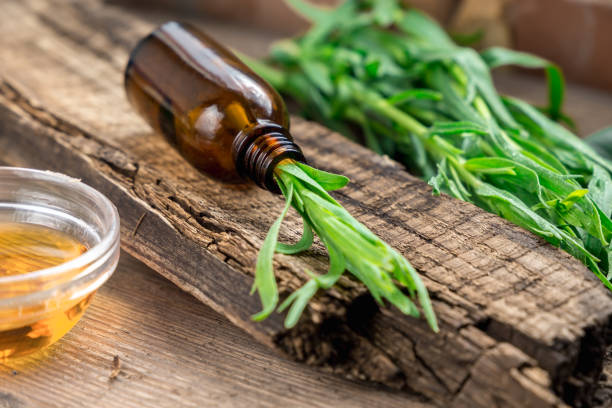 Tarragon essential oil in a bottle lies on an old wooden board. Fresh Tarragon on a wooden background Tarragon essential oil in a bottle lies on an old wooden board. Fresh Tarragon on a wooden background tarragon stock pictures, royalty-free photos & images