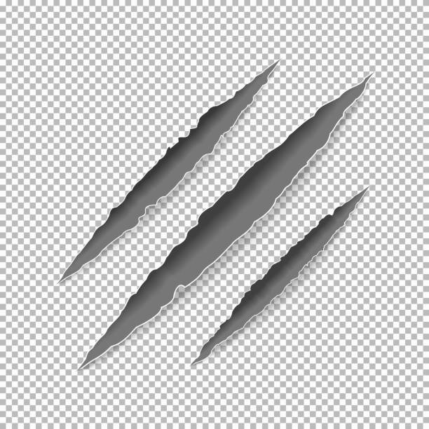 Claws scratches on paper Claws scratches on paper with ripped edges with shadow on transparent background. Graphic concept for your design claw scratch stock illustrations
