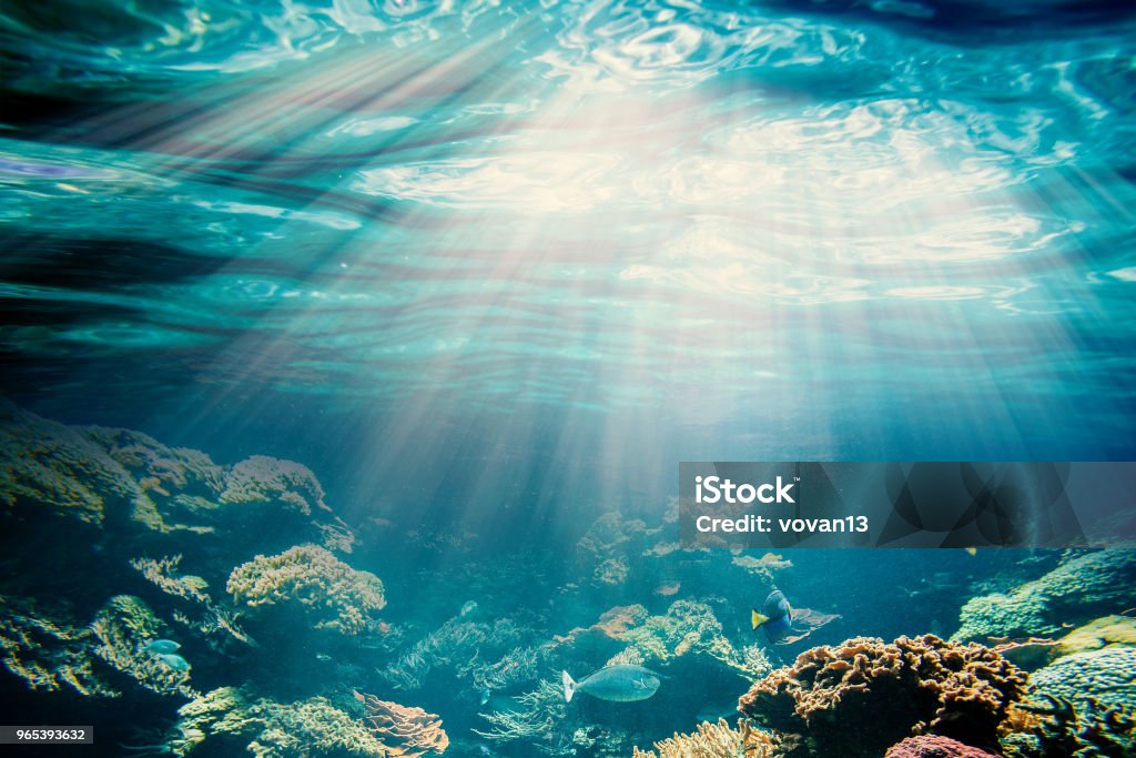 underwater background sand on the beach underwater Sea Stock Photo