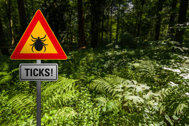 istock A warning sign 