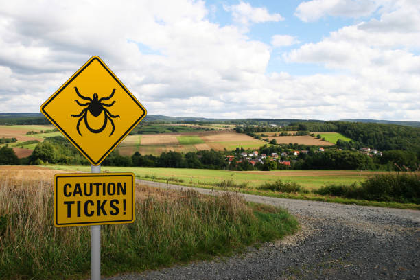 Warning sign "Caution ticks" Warning sign "Caution ticks" with hilly landscape in the background tularemia stock pictures, royalty-free photos & images