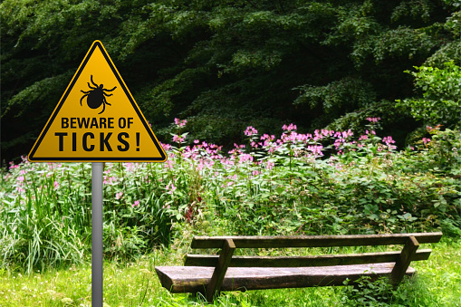 Beware of ticks at a bench in the nature