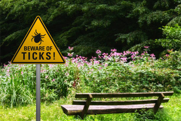 Beware of ticks at a bench in the nature Warning sign "Beware of ticks" at a bench in a natural park bloodsucking photos stock pictures, royalty-free photos & images