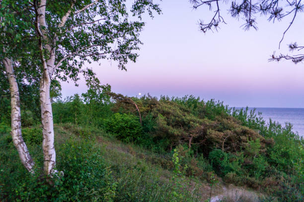 istock Moon is rising over idyllic Bornholm, Denmark on a day in summer 965397020