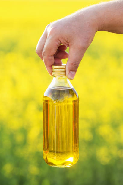 istock rapeseed oil in bottle in hand on background rape field 965400354