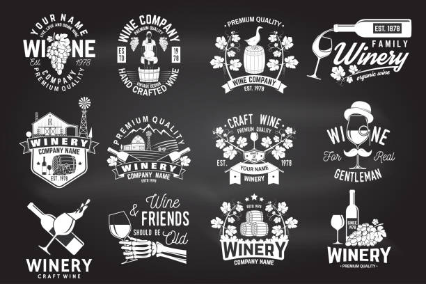 stockillustraties, clipart, cartoons en iconen met set winer bedrijf badge, teken of etiket. vectorillustratie - stamp vector