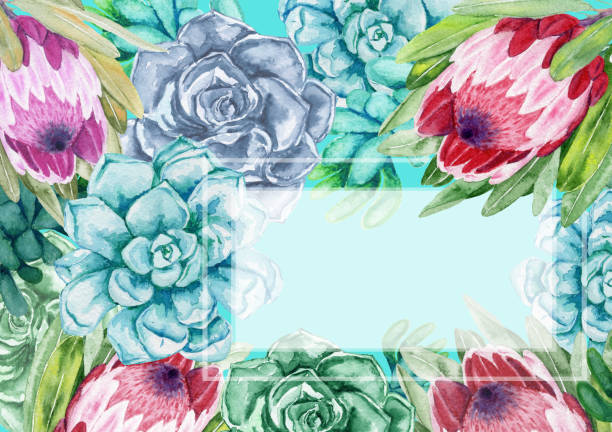 istock Watercolor frame. Succulents with protea flowers. Color cacti. 965409734