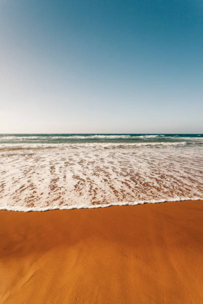 istock Red sandy beach, Ramla Bay, Gozo Island, Malta 965412528