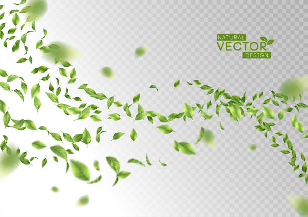 illustrations, cliparts, dessins animés et icônes de feuilles vertes battant - leaf backgrounds green spring