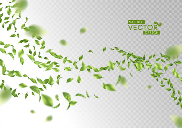зеленые летающие листья - green leaf stock illustrations