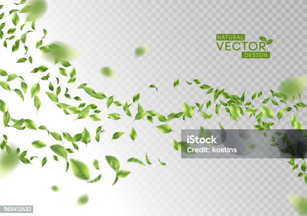 Green Flying Leaves Stock Illustration - Download Image Now - Leaf, Environmental Conservation, Green Color