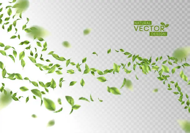 Vector illustration of Green Flying Leaves