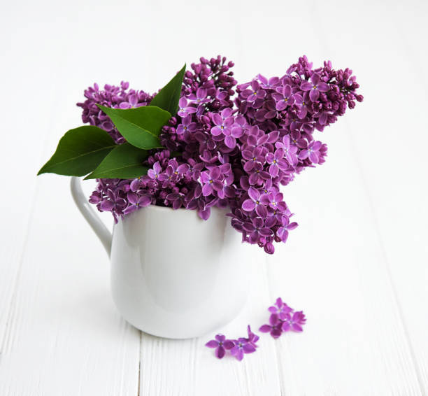 istock Bouquet of lilac flowers 965414202