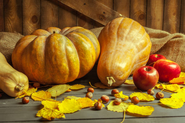 istock pumpkins on wooden board 965425344