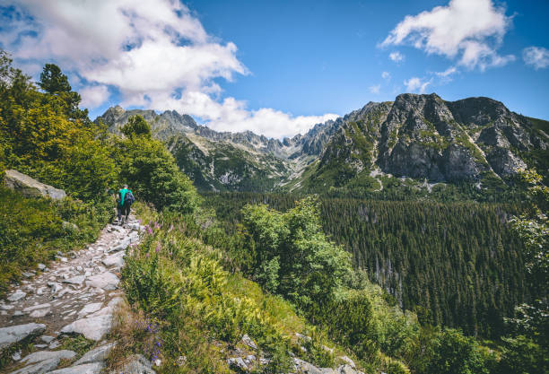 istock The tourists on the walking path. Tatra background 965431840
