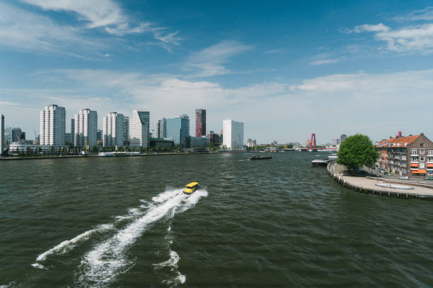 View of Meuse  river in Rotterdam, Netherlands