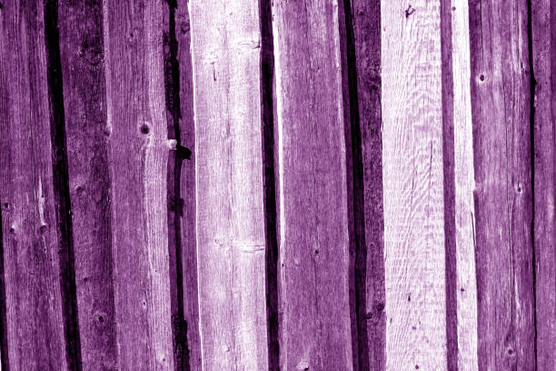 Wooden fence pattern in purple color. Abstract background and texture for design.