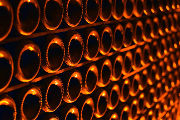 bottiglie di champagne - bottling plant winemaking wine factory foto e immagini stock
