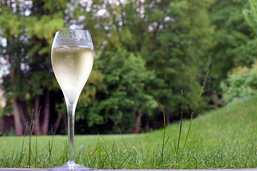 One champagne glass. Lawn and trees on background. Space for text.