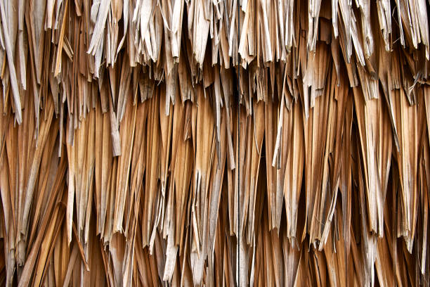 Dry leaf wall on the hut background. Old leaves texture thatch. DIY, folk wisdom. Close up. Dry leaf wall on the hut background. Old leaves texture thatch. DIY, folk wisdom. Close up. straw roof stock pictures, royalty-free photos & images