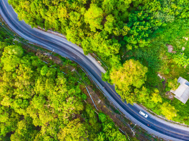 istock Aerial view road side in the forest 965445040