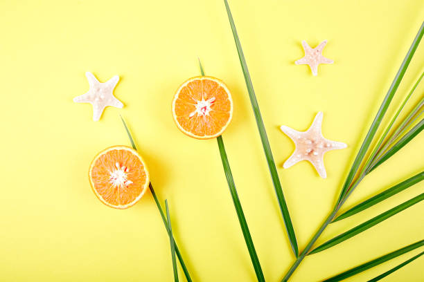 istock Orange fruit, starfish and palm leaves 965452272