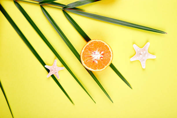 istock Orange fruit, starfish and palm leaves 965452284