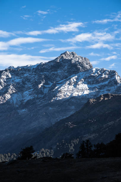 himalaya, berg, chopta, uttarakhand, indien - uttarakhand bildbanksfoton och bilder