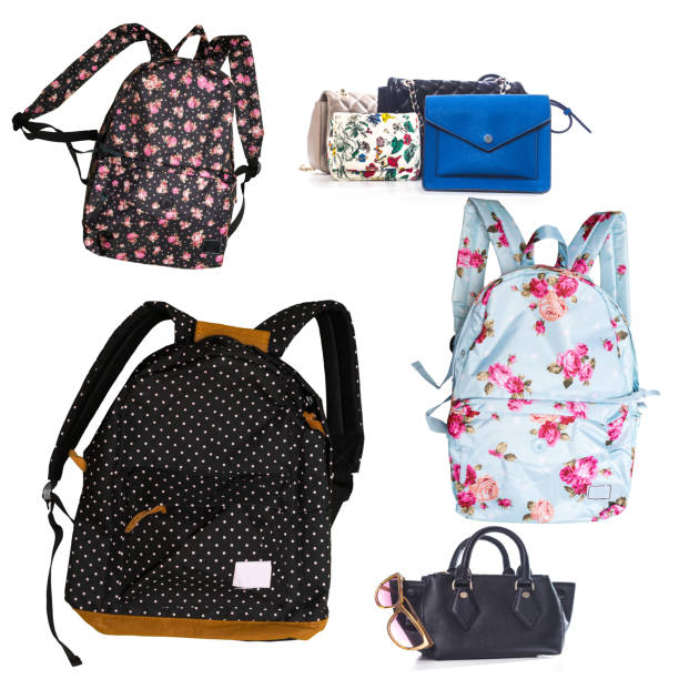 female handbags collection isolated on white background