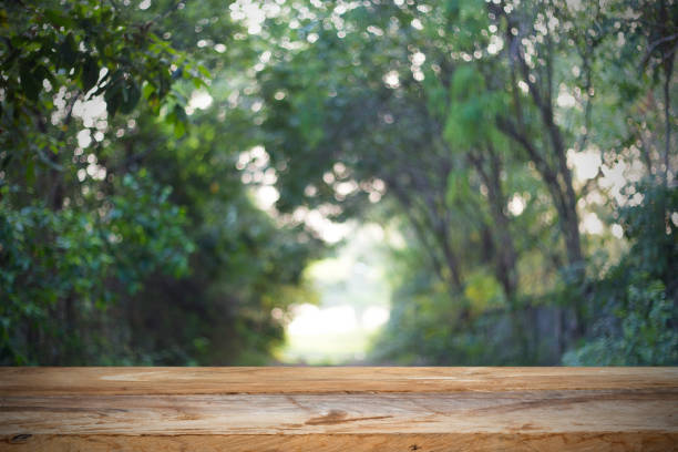 istock wood table blur bokeh background green tree forest 965466474