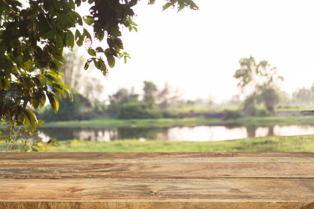 wood table blur bokeh background green landscape sunlight