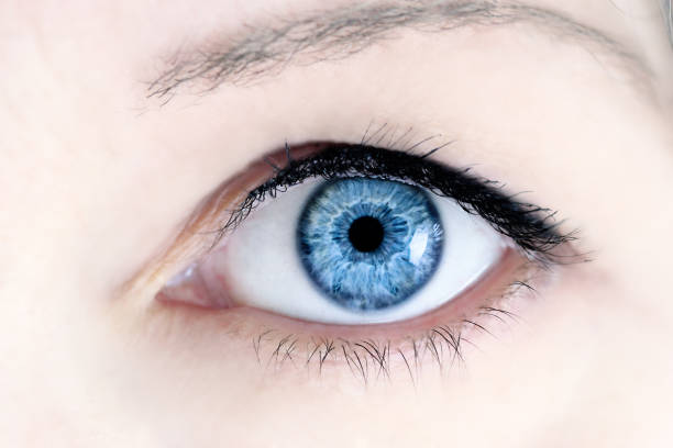 istock Close up of blue eye 965466886