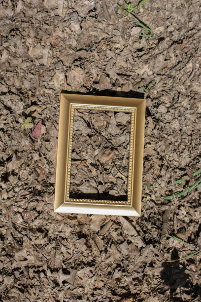 istock Blank wooden picture  frame on  background 965470986