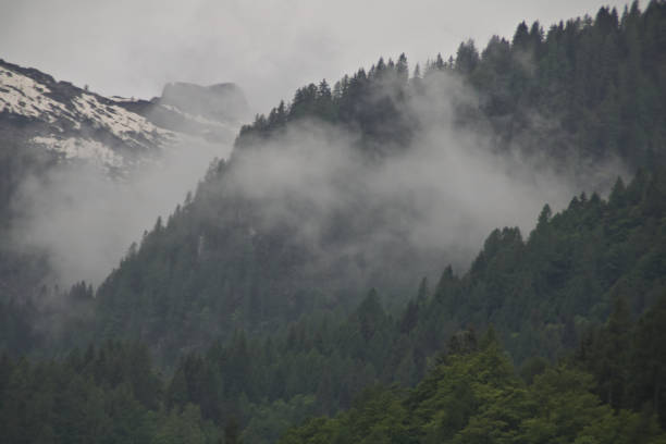 In the heart of the Austrian Alps, a mesmerizing scene unfolds as clouds gently caress the snow-capped peaks, shrouding them in a veil of mystery and allure. Against the backdrop of the rugged alpine terrain, the intricate details of the mountains come into focus, each craggy ridge and jagged peak standing as a testament to the raw power and timeless beauty of nature. The foggy atmosphere lends an ethereal quality to the landscape, transforming it into a realm of enchantment and wonder. In this pristine wilderness, where the air is crisp and pure, one can't help but be captivated by the majestic grandeur of the Austrian Alps, a place where the spirit of adventure and exploration knows no bounds.
