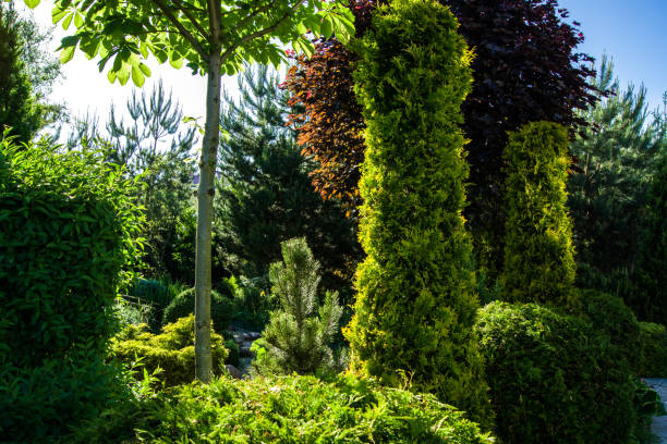 istock beautiful view of the garden 965474644