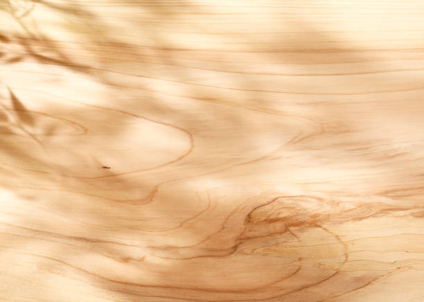 Sunny wooden background stock photo