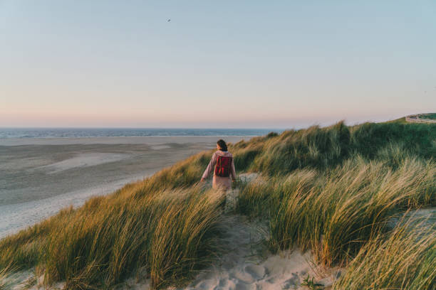 frau zu fuß am meer auf der insel texel bei sonnenuntergang - north holland stock-fotos und bilder