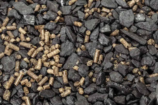 Coal and biomass pellet