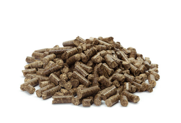 stack of wooden pellets for bio energy, white background, isolated