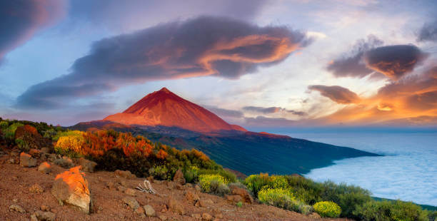 volcan de teide à tenerife dans la belle lumière du soleil couchant - el teide national park photos et images de collection