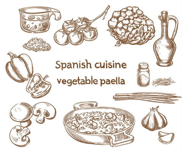 Spanish cuisine. Vegetable paella ingredients vector sketch. Spanish cuisine. Vegetable paella ingredients vector sketch. spanish food stock illustrations