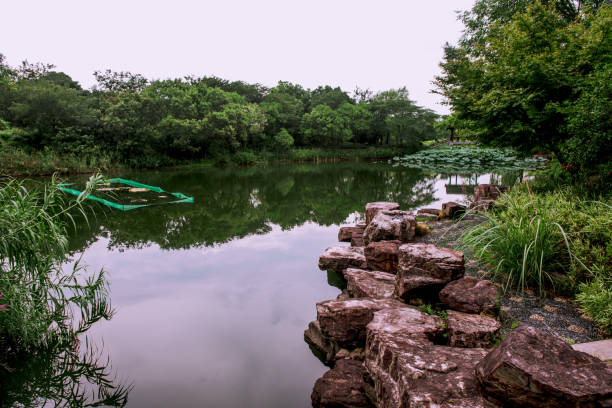 Xixi Hangzhou National Wetland Park is a national wetland park in China, located at the west part of Hangzhou, Zhejiang province. The park is densely crisscrossed with six main watercourses, among which are scattered various ponds, lakes and swamps parque del humedal de xixi hangzhou nacional es un parque nacional de humedales en china, situado en la parte de oeste de hangzhou, provincia de zhejiang. el parque está densamente atravesado por seis cursos de agua principales, entre los que se encuentra